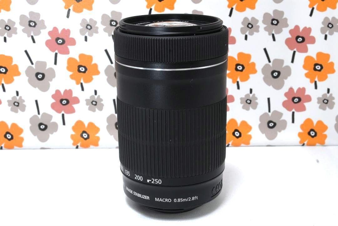 ❤Canon EF-S 55-250mm IS STM❤極美品❤大人気望遠レンズ