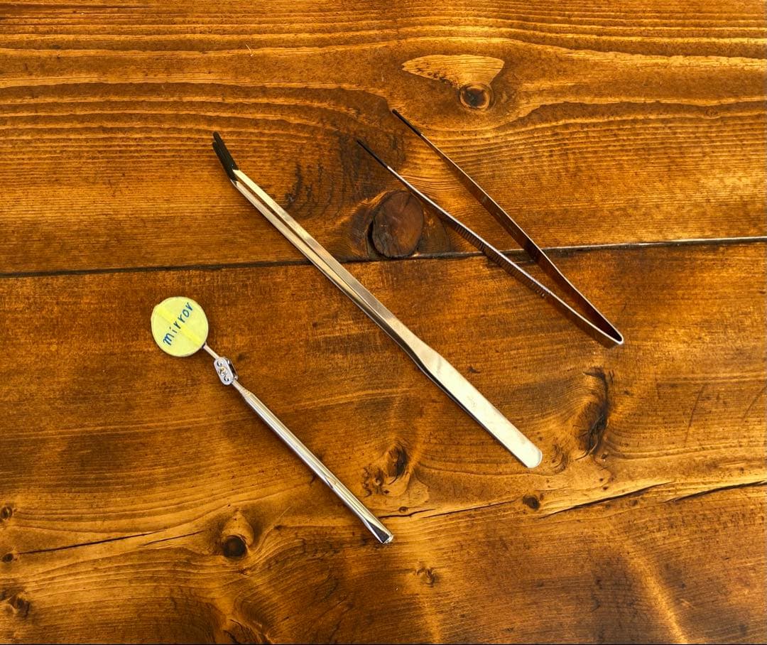 クワガタ採集セット　オリジナル掻き出し棒　デジタルノギス　採集ケース　アーミー