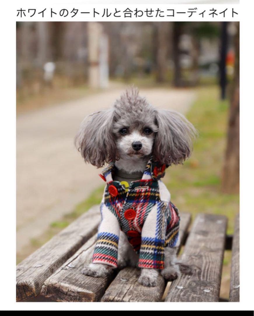 アトリエgg⭐︎コート⭐︎１ハーフ