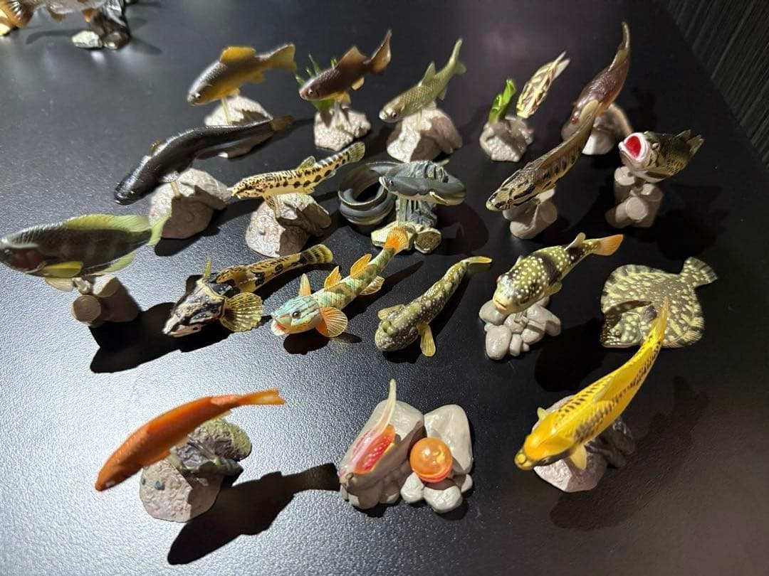 原色淡水魚図鑑