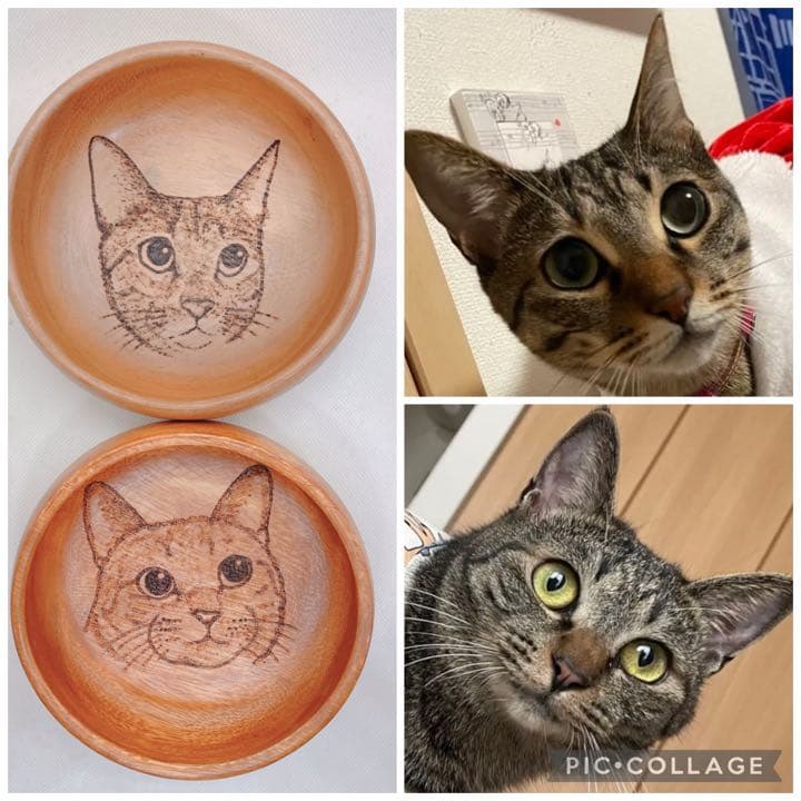 確認ページ♡猫ちゃん4匹♡フェレット10匹