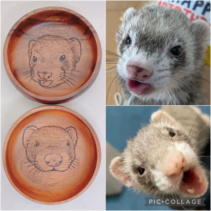 確認ページ♡猫ちゃん4匹♡フェレット10匹