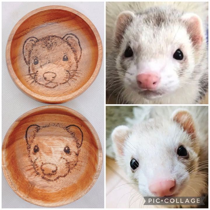 確認ページ♡猫ちゃん4匹♡フェレット10匹