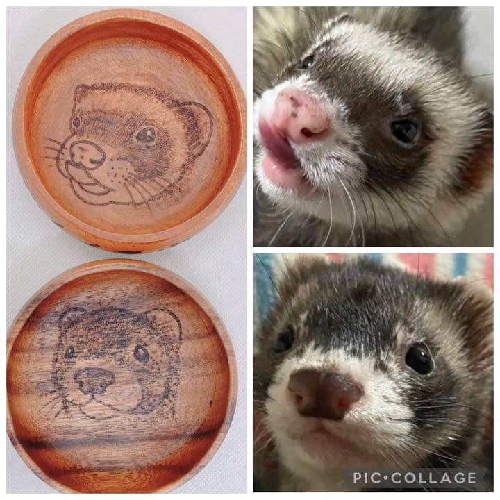 確認ページ♡猫ちゃん4匹♡フェレット10匹