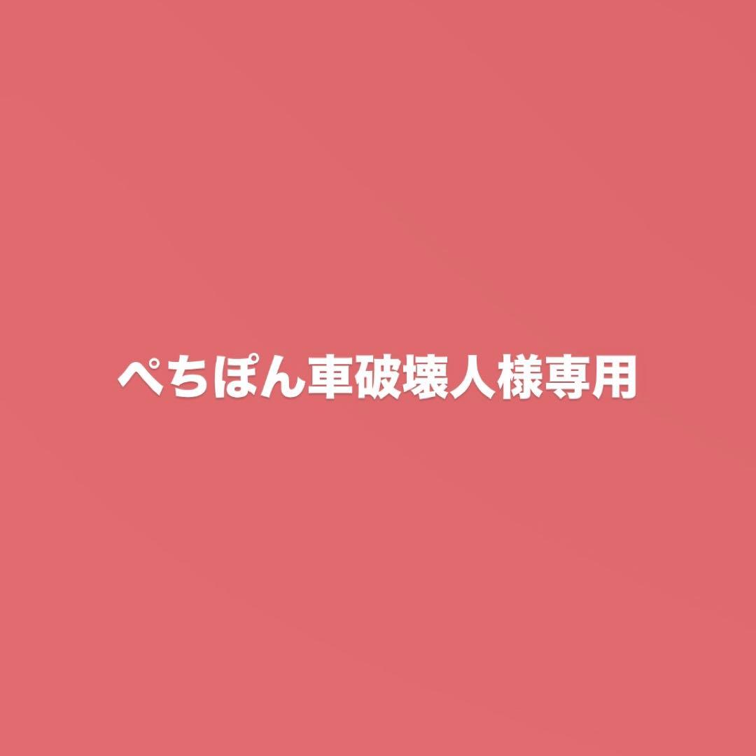 【オーダー品】ぺちぽん車壊人