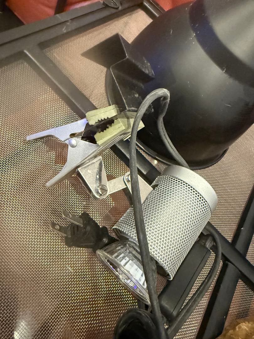 エキゾテラ　6030 色々セット