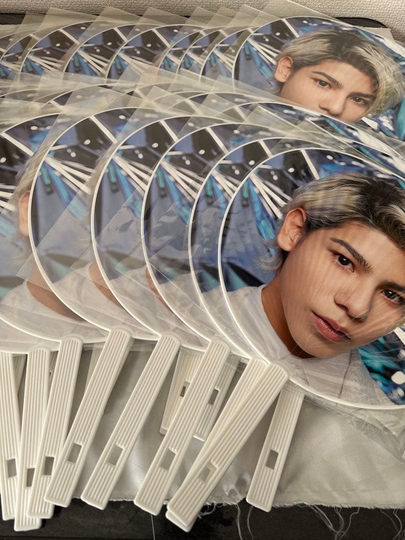 ラウールうちわ 29枚セット