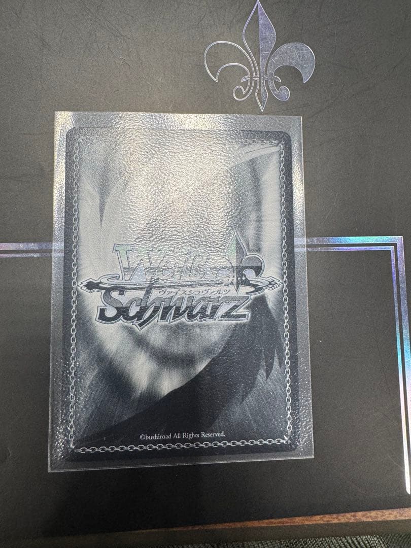 WS 時々ボソッとロシア語でデレる隣のアーリャさん PR+ ヴァイスシュバルツ