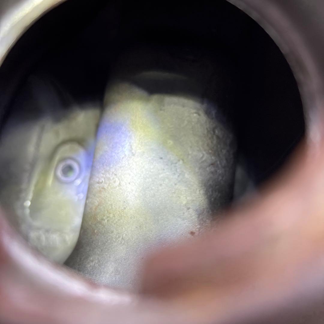 ゴリラ　純正タンク