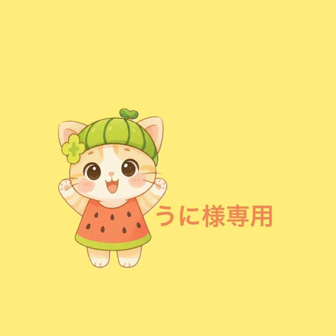 専用　黒猫ちゃんトリオ