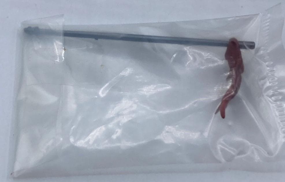 【Blu-ray・DVD全巻購入特典】うしおととら とらフィギュア