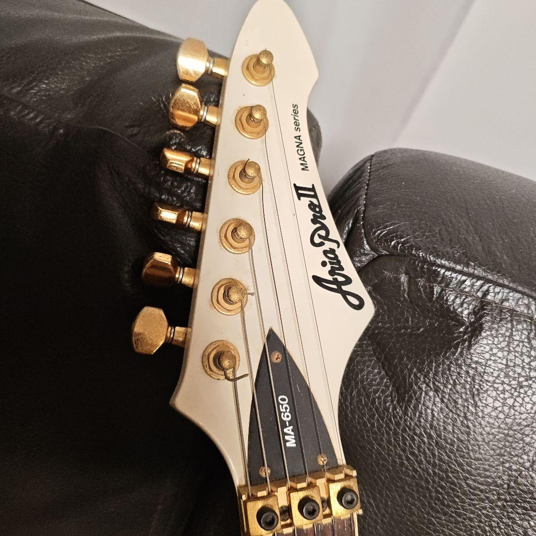 N*T様 AriaProII MAGNA series MA-650