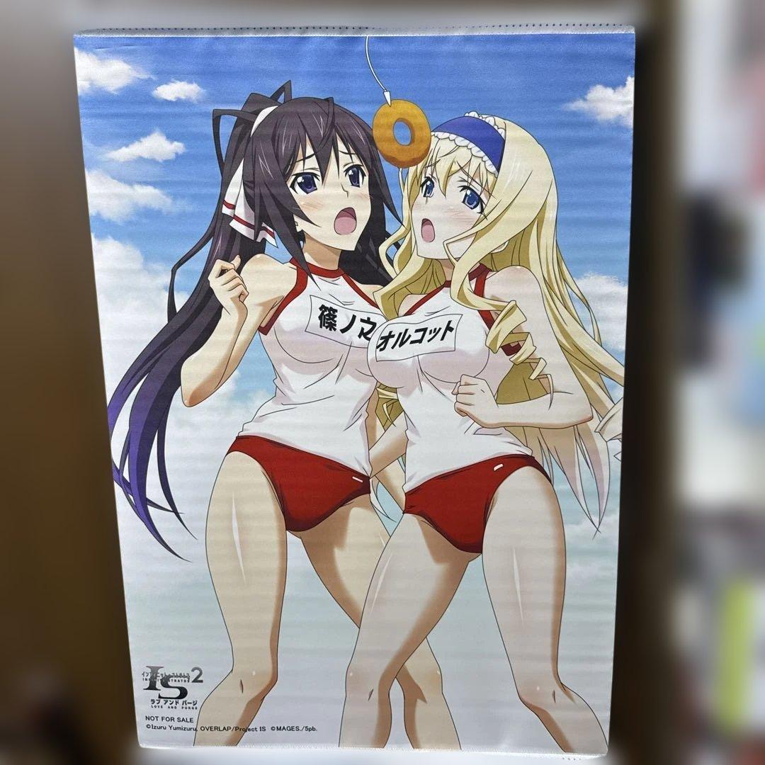 インフィニット・ストラトス 篠ノ之箒＆セシリア・オルコット B2タペストリー