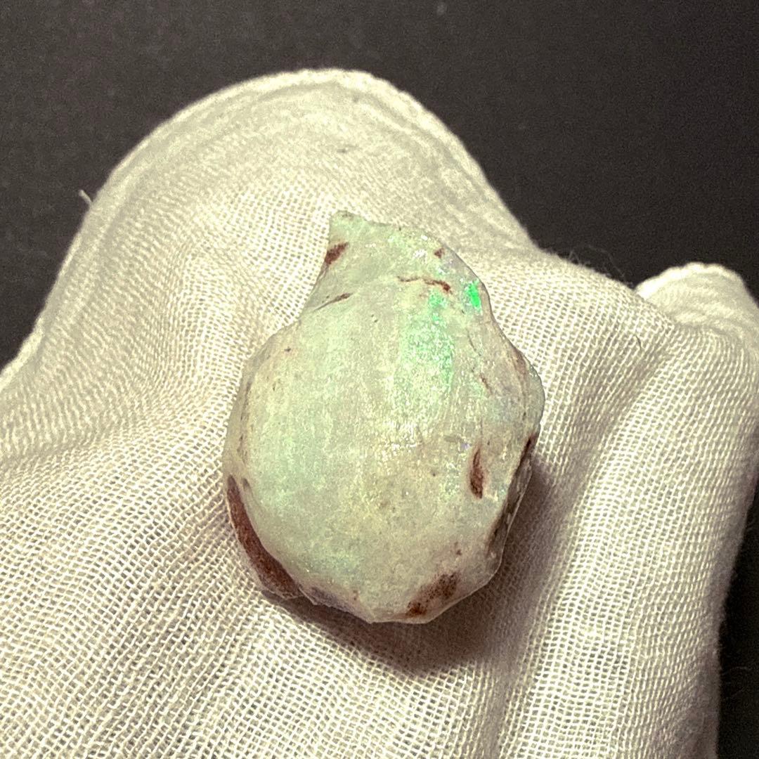 シェルオパール 貝オパール オパール化貝化石 オパライズドシェル