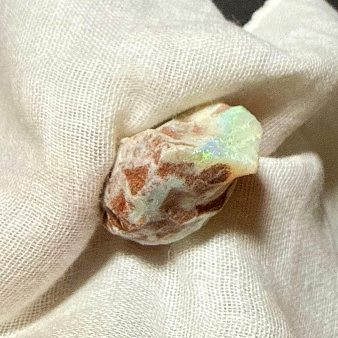 シェルオパール 貝オパール オパール化貝化石 オパライズドシェル