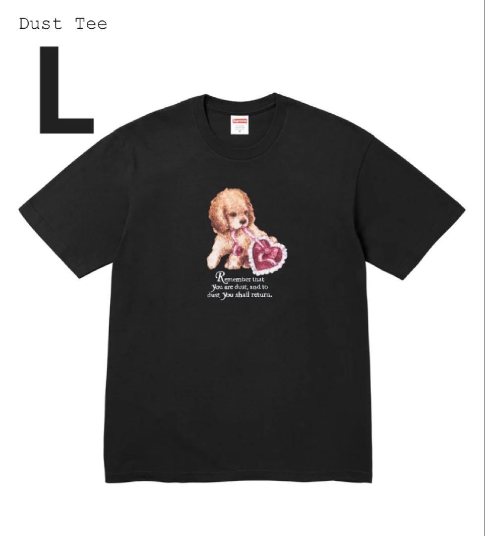 【Supreme】Dust Tee L Black