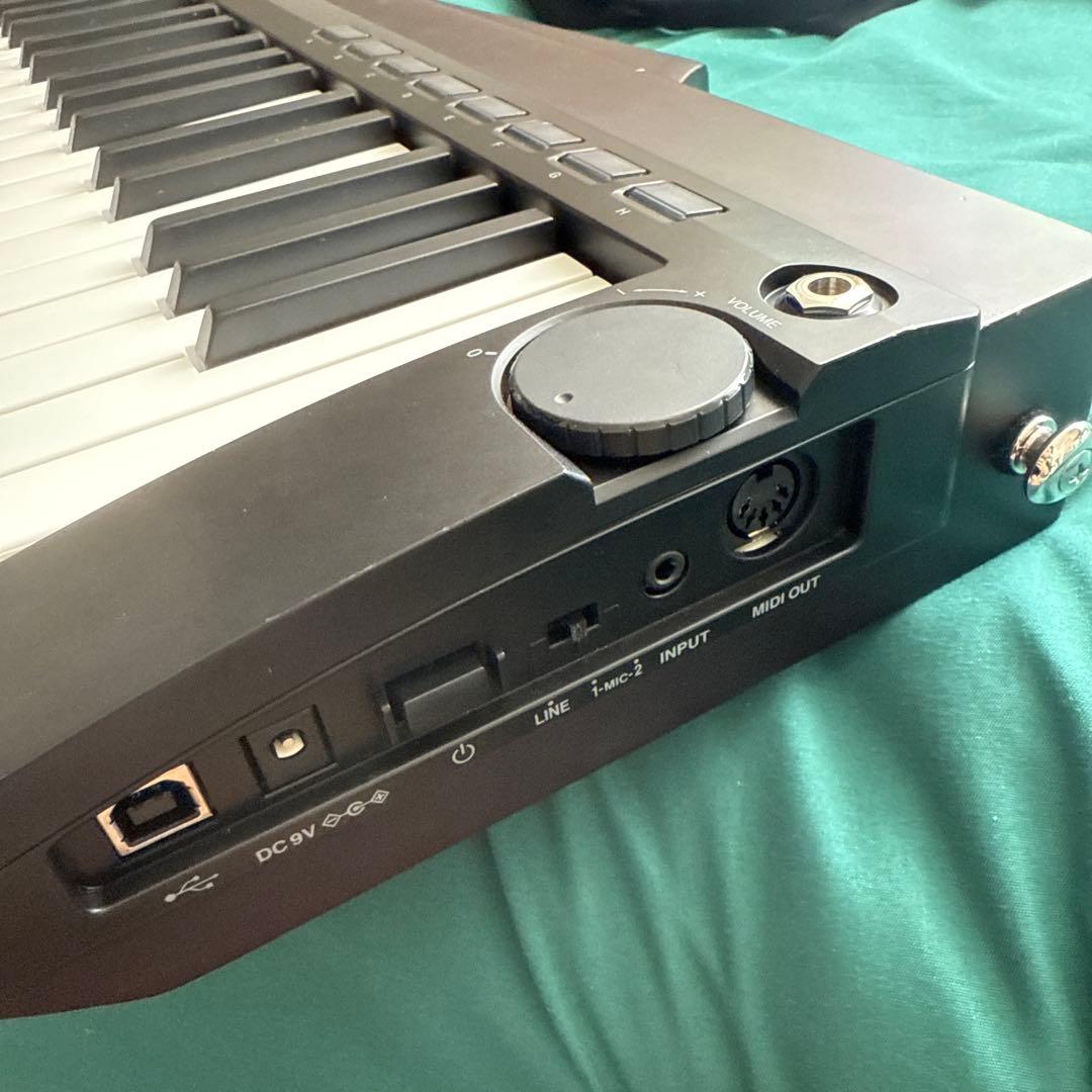 KORG RK-100S 2 キーターモデル