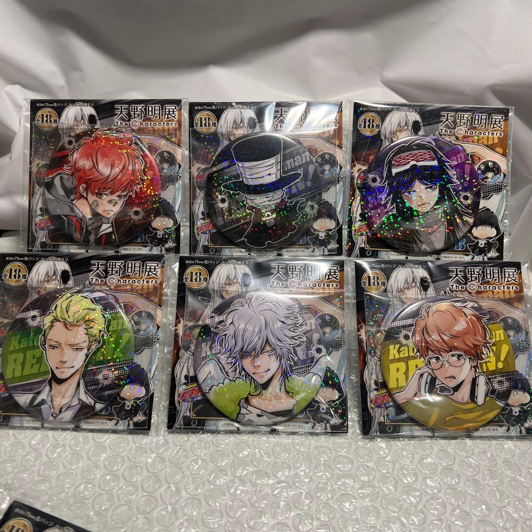 大幅値下げ天野明展 家庭教師ヒットマンREBORN! 缶バッジコンプセット36個