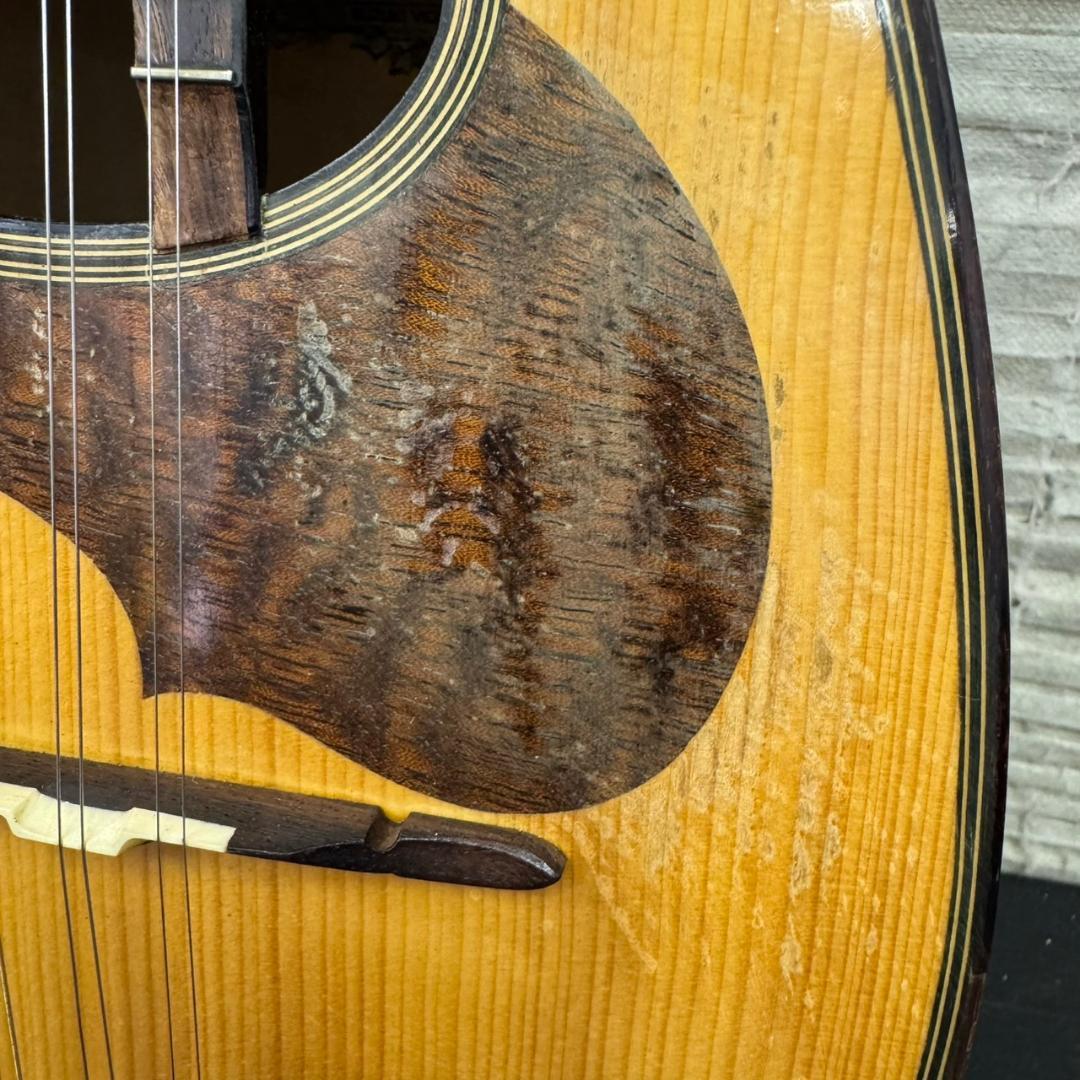 ☆鈴木バイオリン　マンドリン　M-30　ソフトケース付　SUZUKI　スズキ