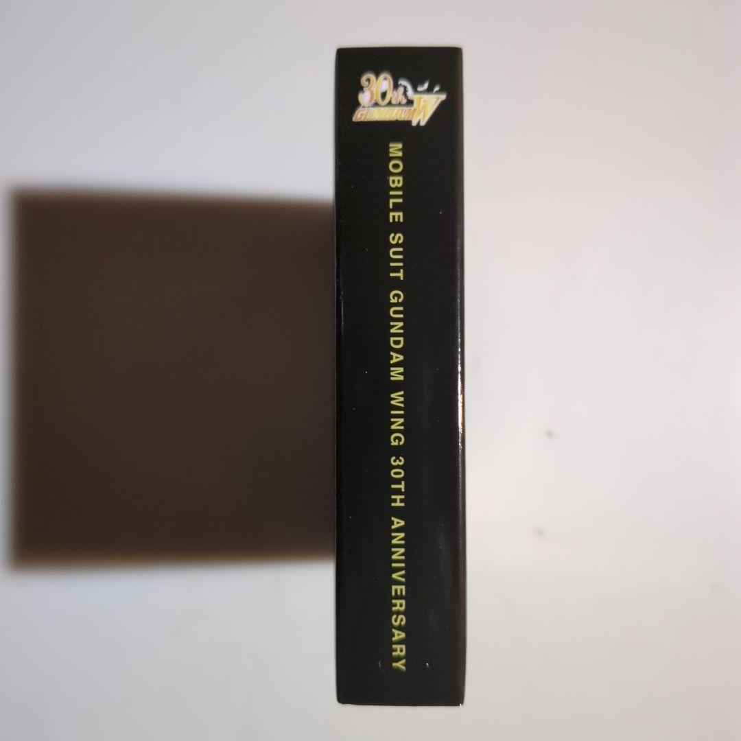 STRICT-G ガンダムW ピンズセット 2種