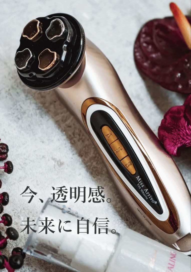 ミスアリーヴォ ザ・レイス　定価154000　公式HPで購入　フォクシー