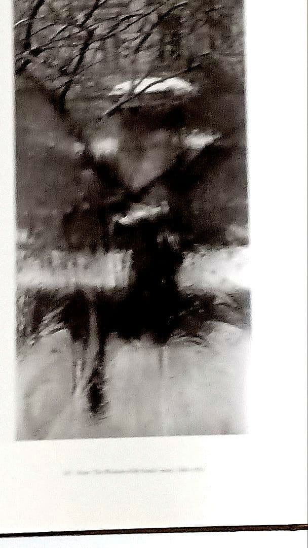 プラハの光 JOSEF SUDEK 写真集