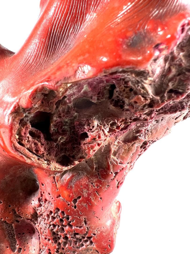 【送料無料・蔵出し品】珊瑚　珊瑚礁　赤珊瑚　台座付　飾り　詳細不明　写真参照