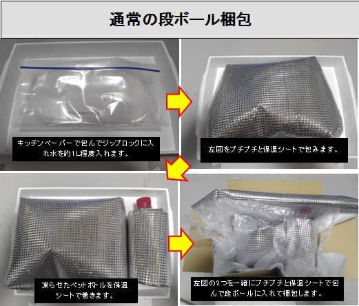 ミクロソリウムsp.サリポイ　流木活着