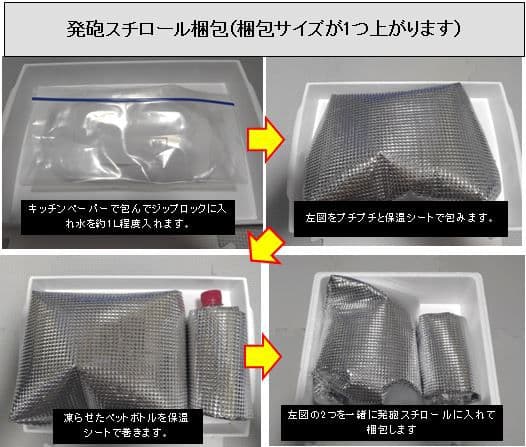 ミクロソリウムsp.サリポイ　流木活着