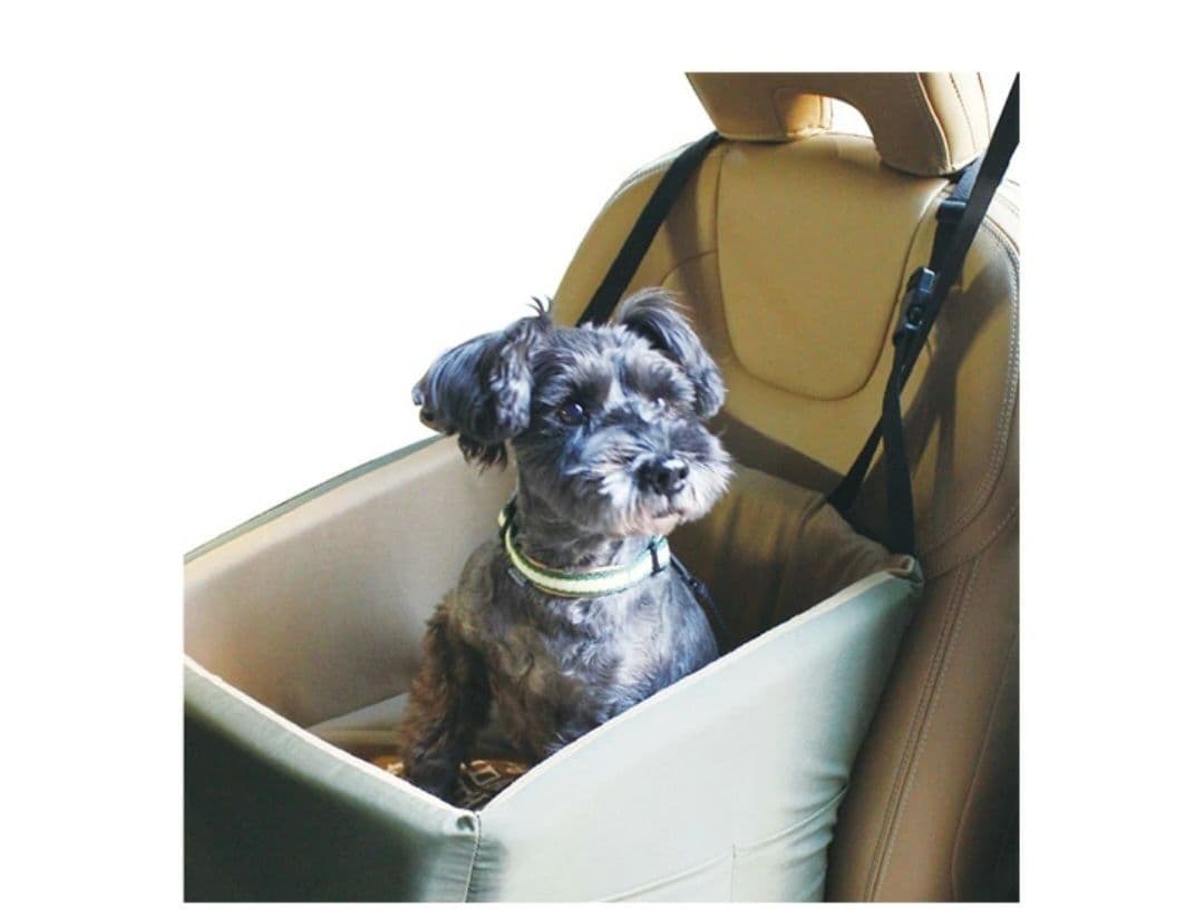 MANDARINE BROTHERS マンダリンブラザーズドライビングクッション