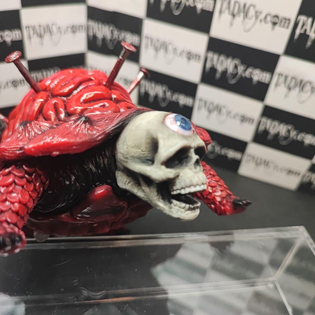 98ブレインタートル