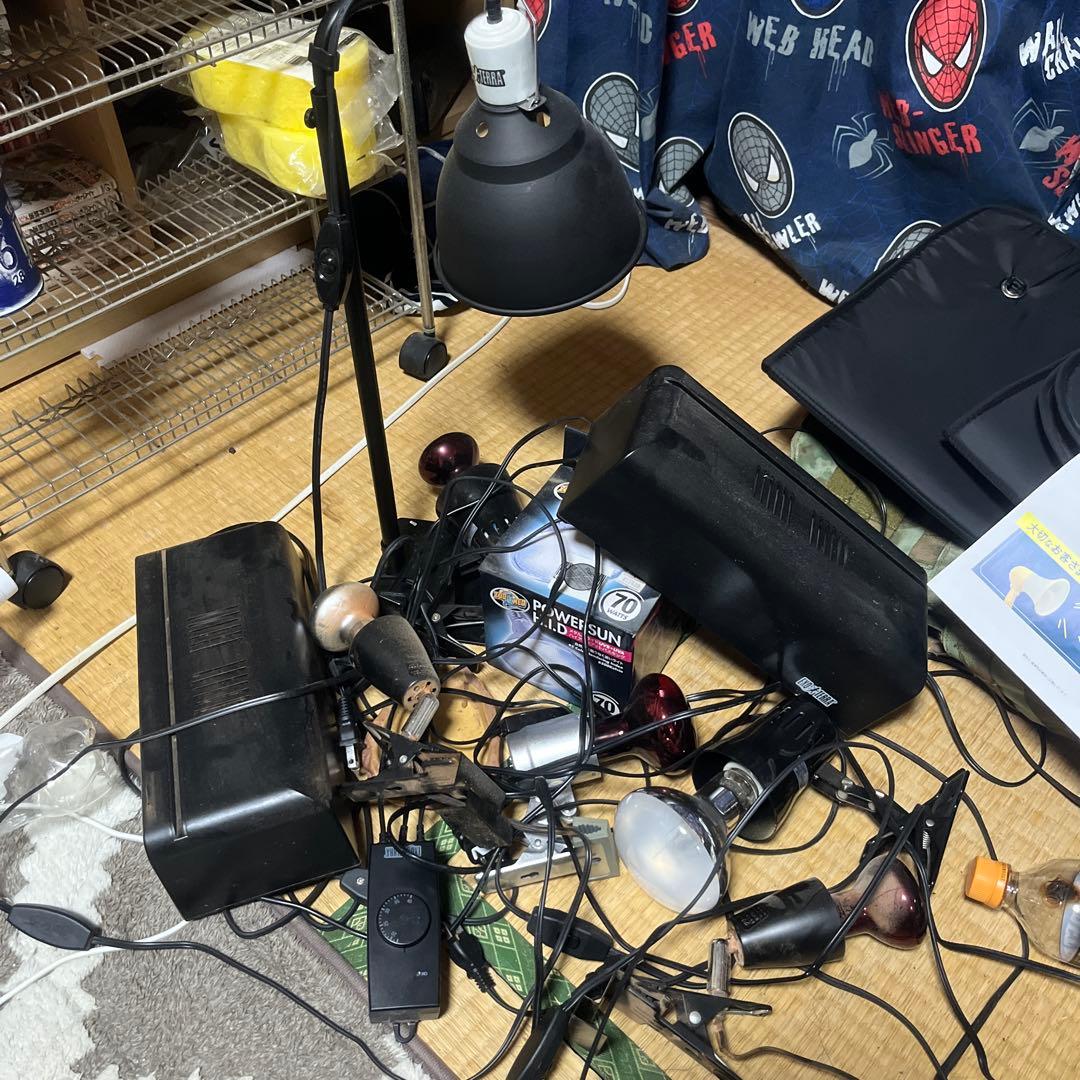 爬虫類用品　まとめ売り　引き取り限定