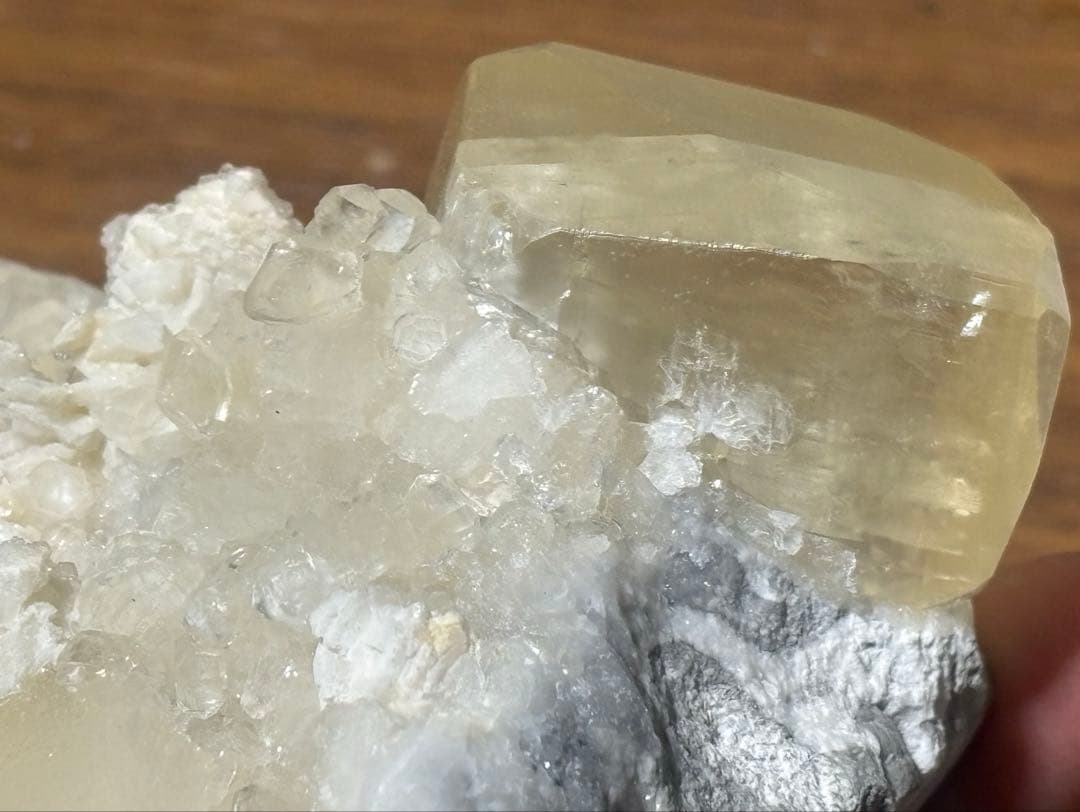 【福建省産】　イエローカルサイト