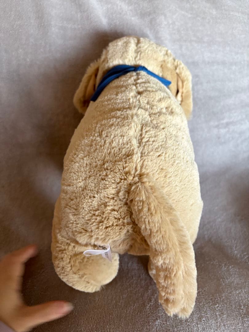 デコピン　FOCO 大谷翔平 公式犬ぬいぐるみ　ドジャースdodgers