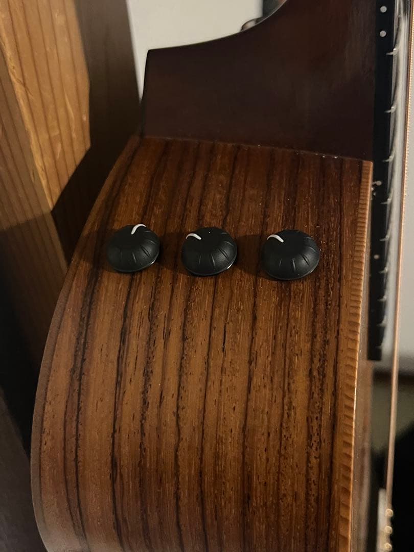 gs mini-e Taylor rosewood ES-2 エレアコ　ギター