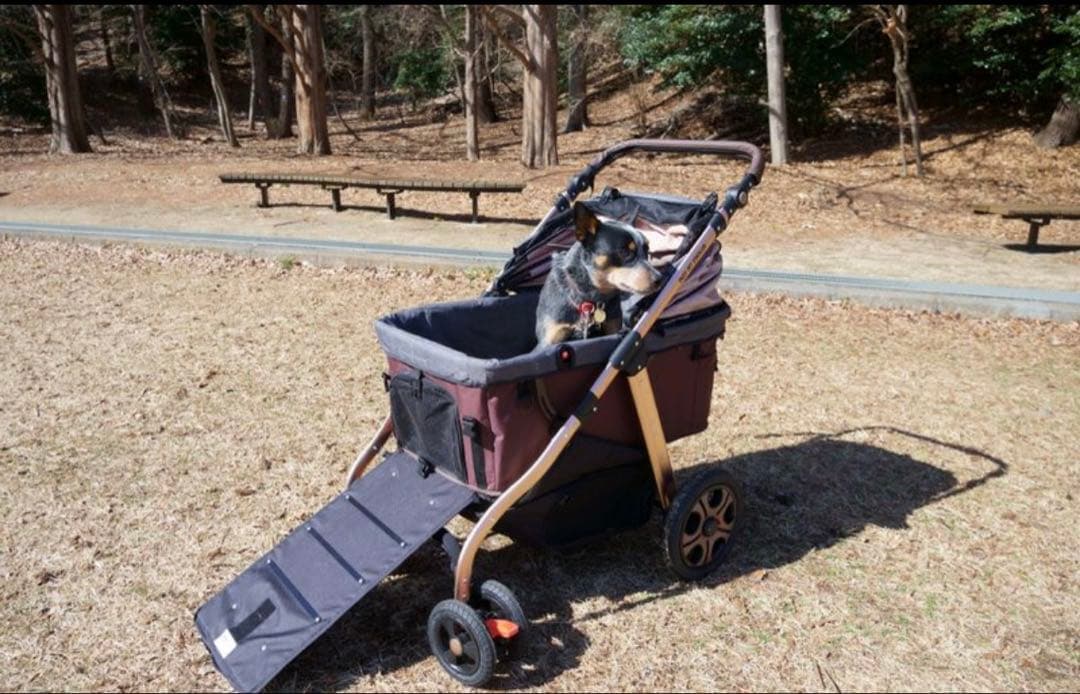 か*ん様 犬用ペットカート 折りたたみ式 ブラック