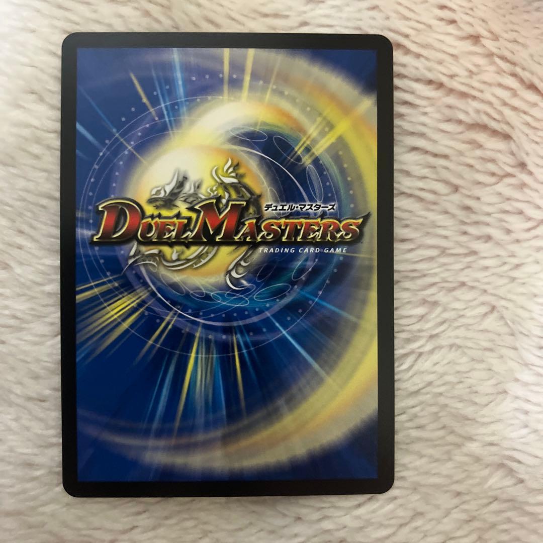 パーフェクトペテンシーシークレット1枚