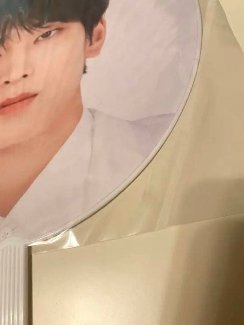 SEVENTEEN ウォヌ グッズ セット まとめ売り 画像5枚セット内容