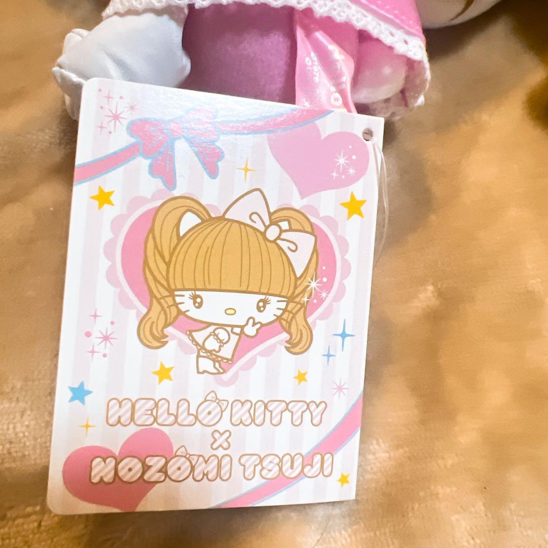 k*y様 希少　辻希美　辻ちゃんキティ　ハローキティ ぬいぐるみ 2009年　S