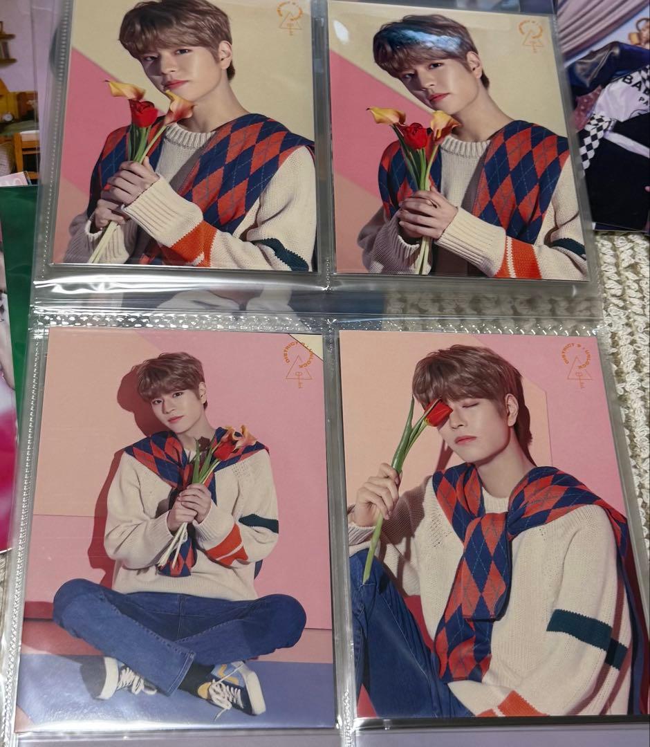 Stray Kids スンミン　ラントレ　コンプ　57枚