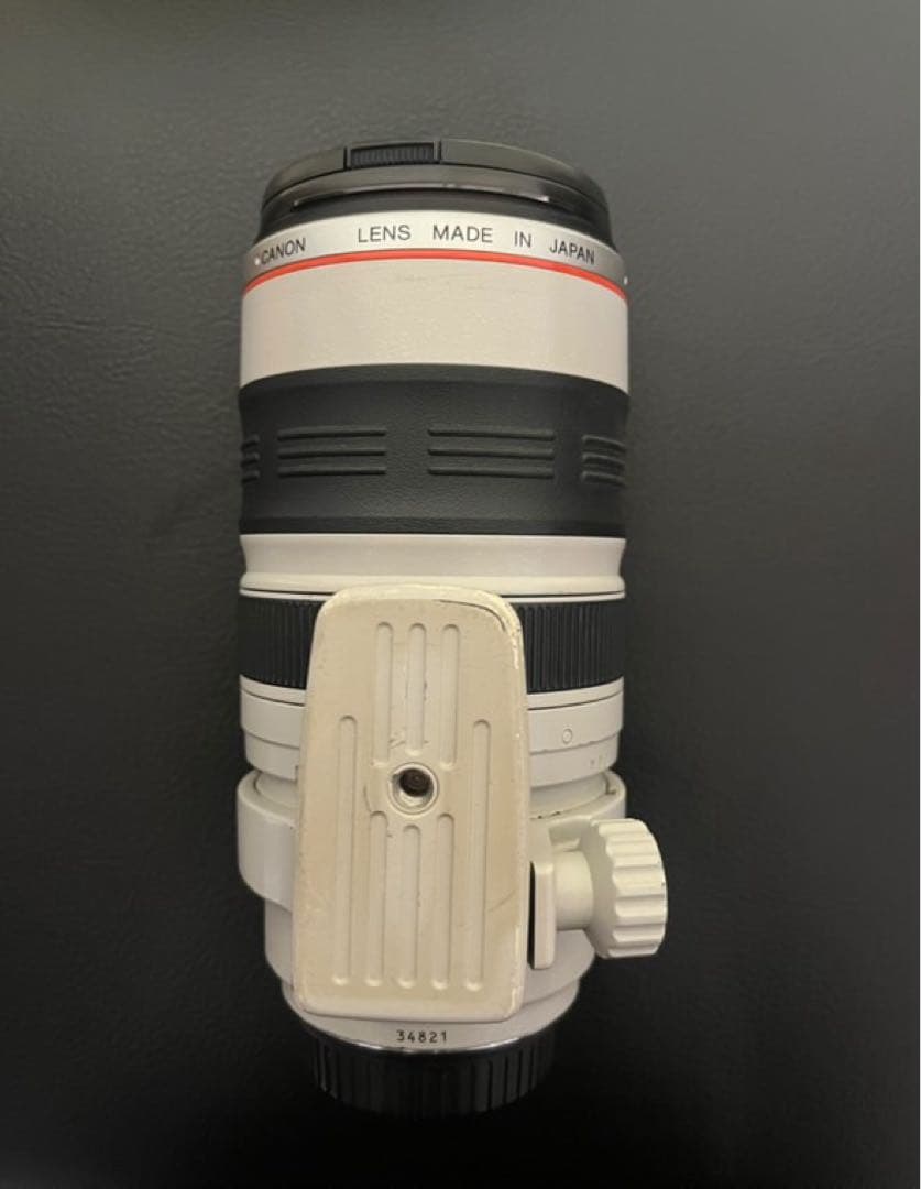 レンズ(ズーム) Canon EF 35-350mm f/3.5-5.6L USM