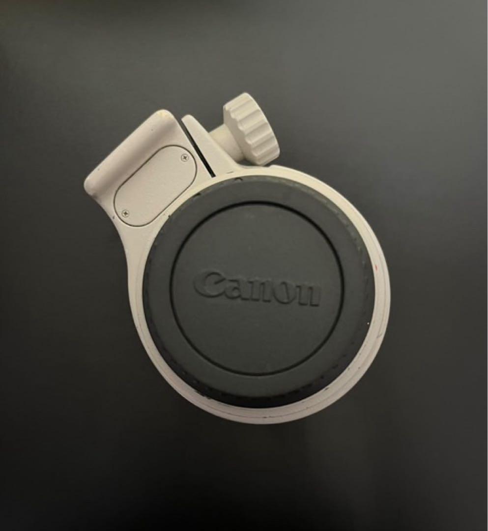 レンズ(ズーム) Canon EF 35-350mm f/3.5-5.6L USM