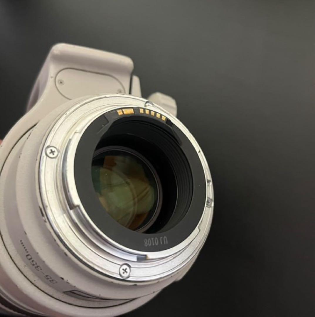 レンズ(ズーム) Canon EF 35-350mm f/3.5-5.6L USM