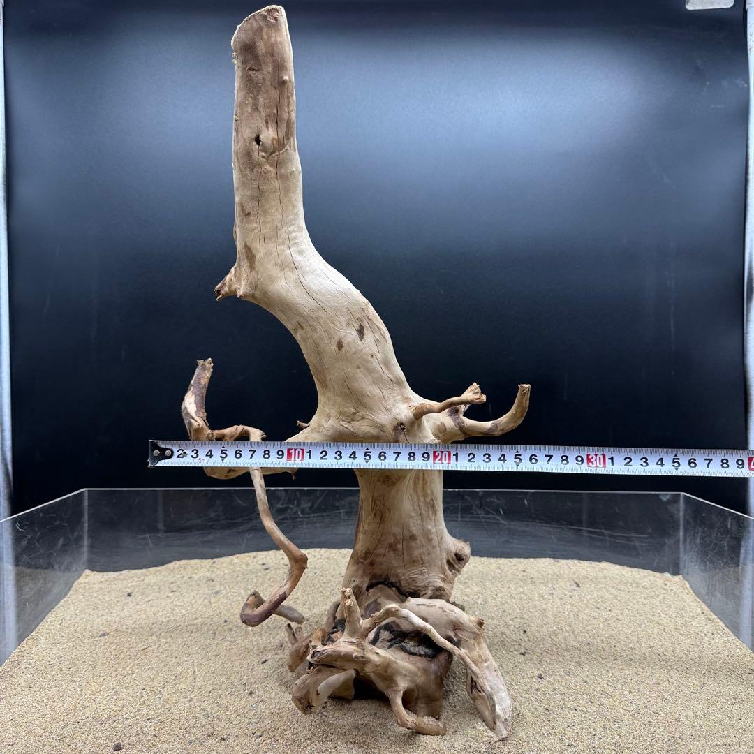 MDW-7162 特大ブランチウッド2本セット　流木　枝流木　アクアリウム