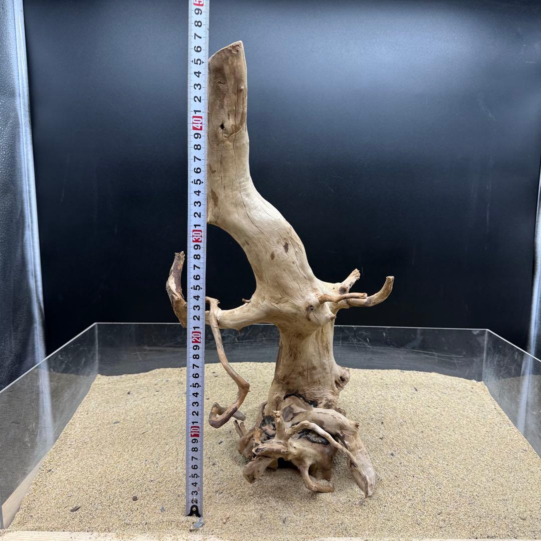 MDW-7162 特大ブランチウッド2本セット　流木　枝流木　アクアリウム