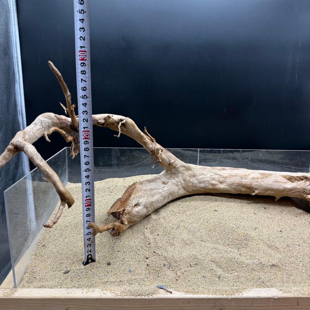 MDW-7162 特大ブランチウッド2本セット　流木　枝流木　アクアリウム