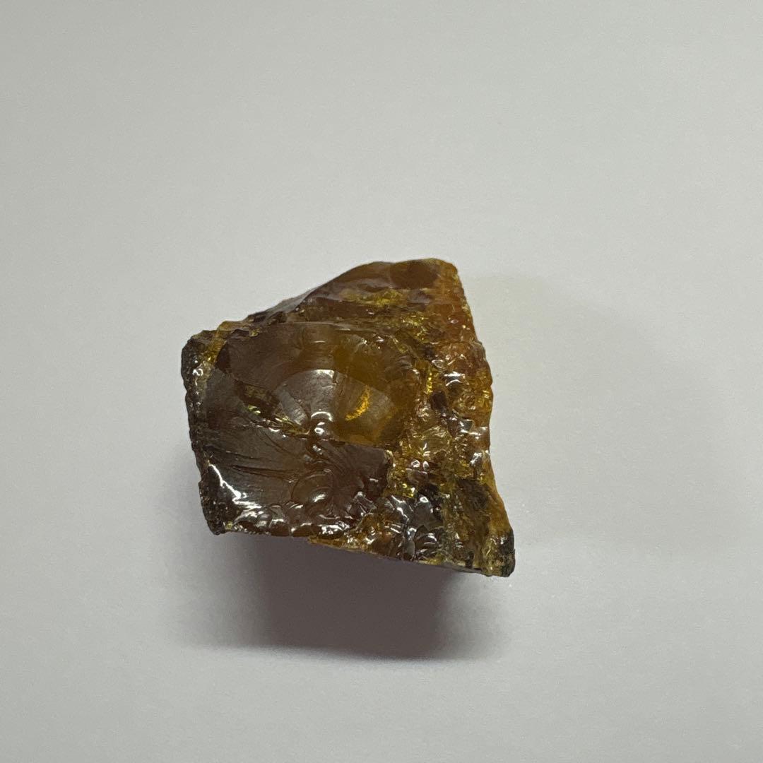 琥珀 アンバー 化石 宝石 原石 岩手県久慈産