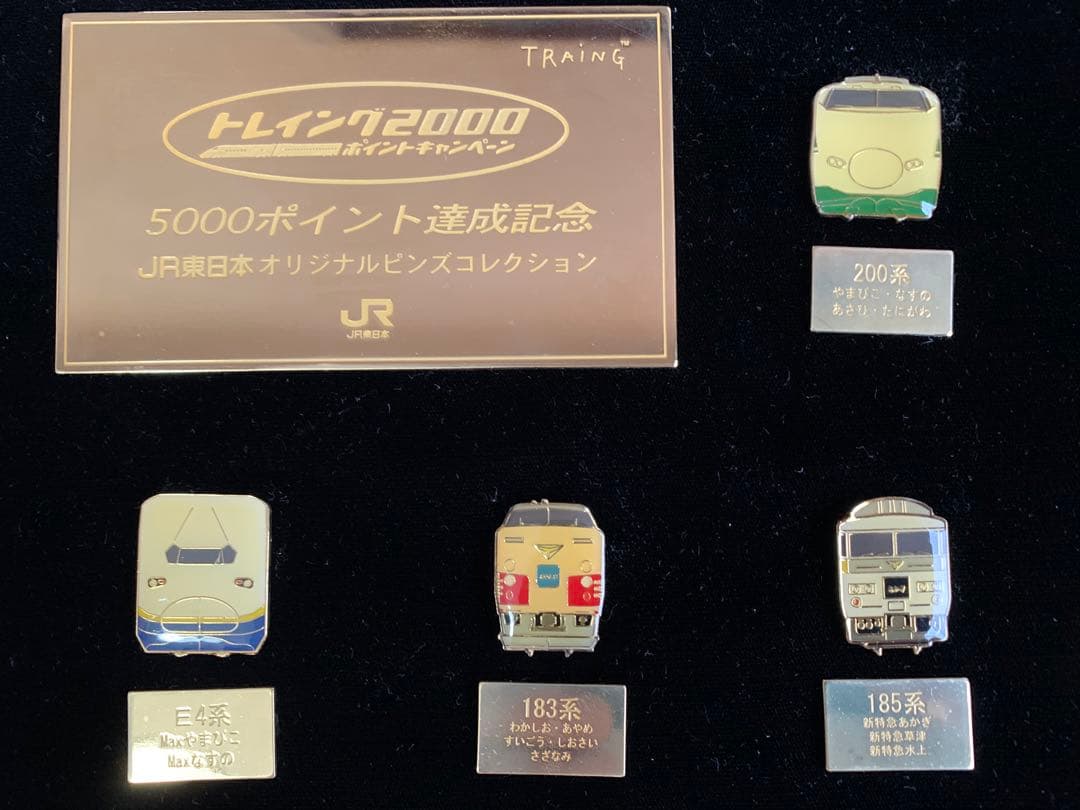 JR東日本「トレイング2000」5000ポイント達成記念　鉄道ピンズ２6点セット