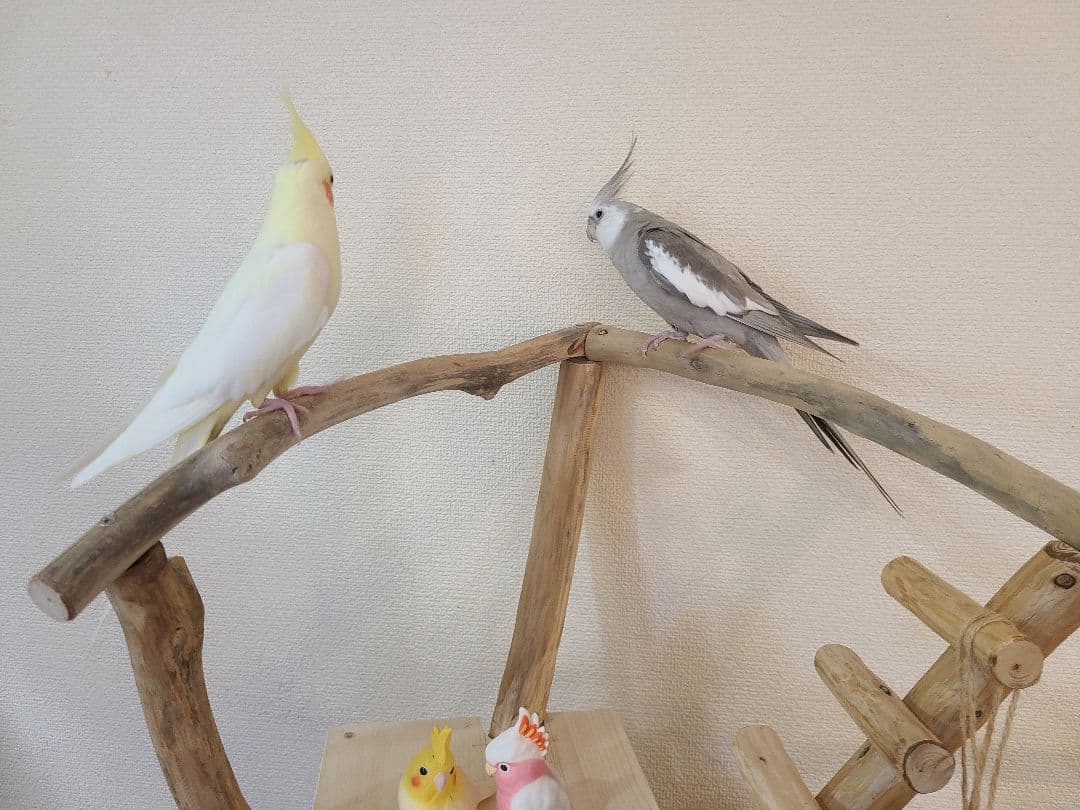 ② MEGオーダーバードアスレチック　流木　ハンドメイド