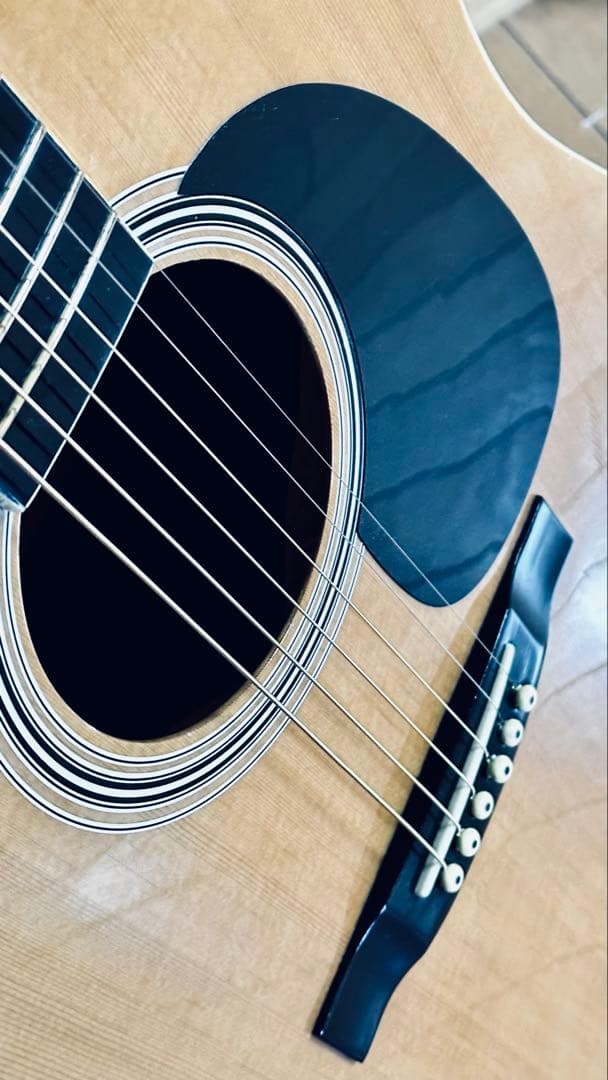 ◾️アコースティックギター プロローグMD-100N状態良いです◾️